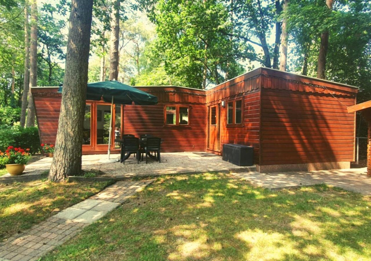 Chalet L2 Dennenrhode Doornspijk Esterno foto